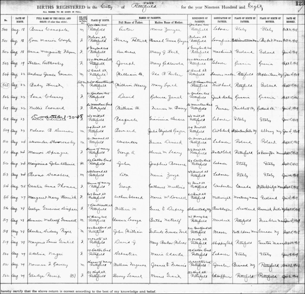 The Birth Record for Alexander Skowronski - 1908