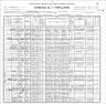1900 US Federal Census Record for Stanley Izbicki