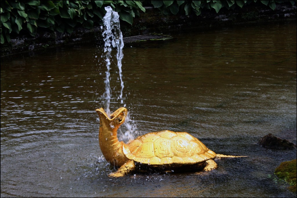 Turtle Fountain