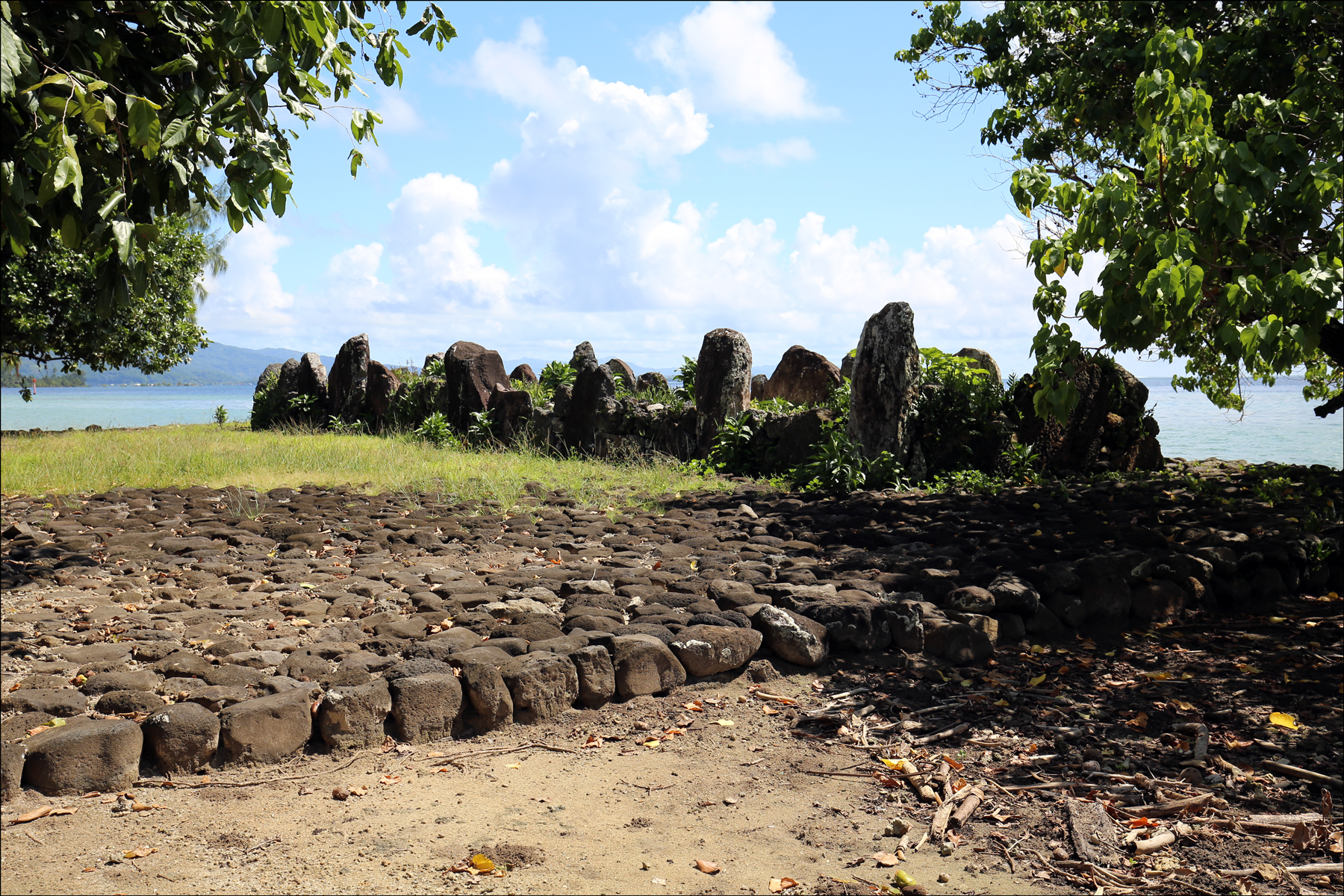 The marae of Taputapuātea (Ra'iatea, Society Islands) in 2016: nature, age  and origin of coral erected stones